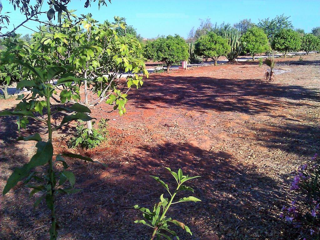 Quinta Casalinho Villa อัลบูเฟรา ภายนอก รูปภาพ