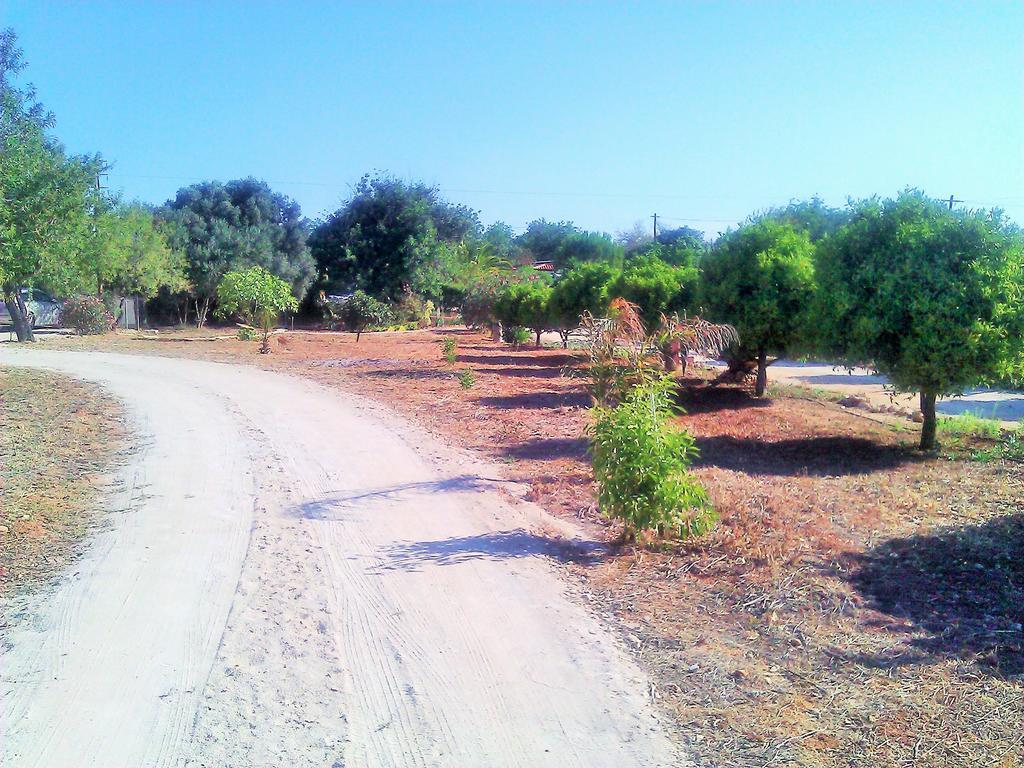 Quinta Casalinho Villa อัลบูเฟรา ภายนอก รูปภาพ