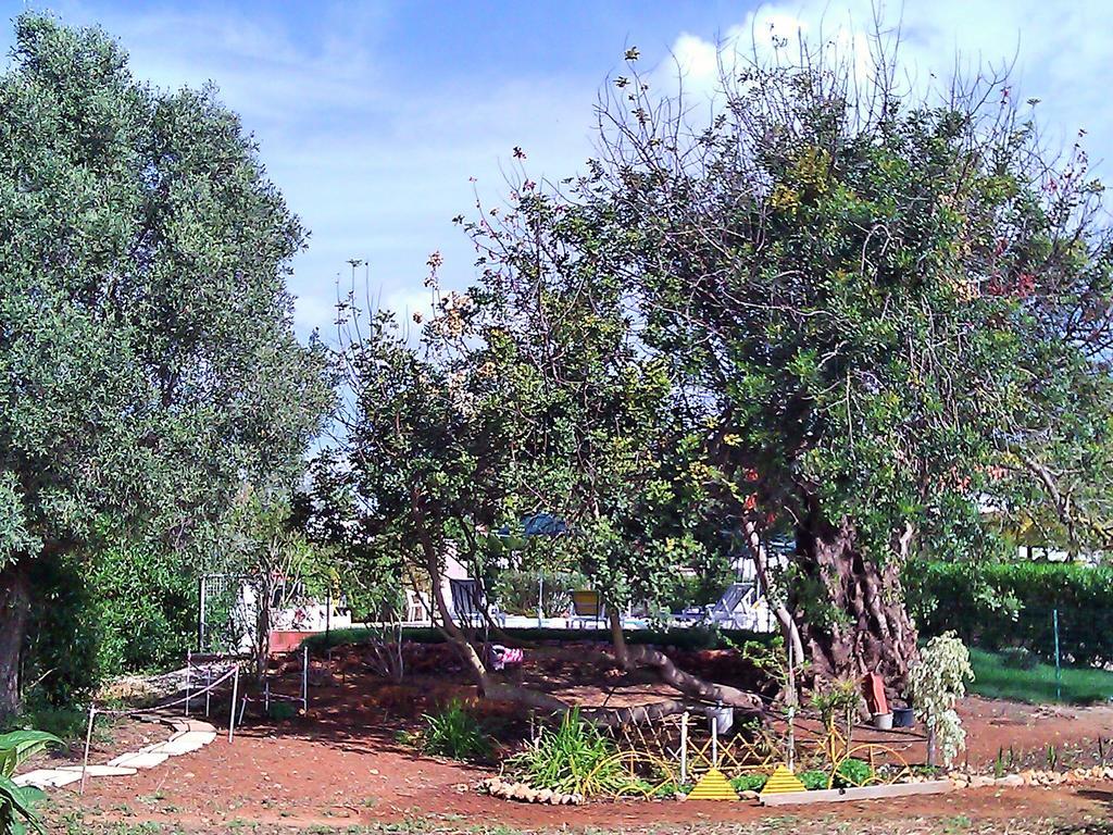 Quinta Casalinho Villa อัลบูเฟรา ภายนอก รูปภาพ
